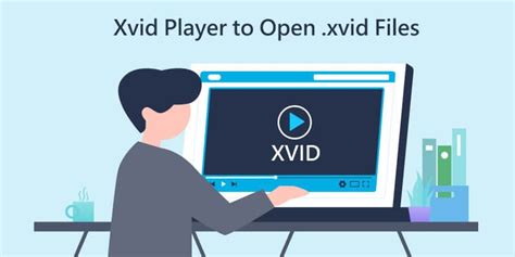 xvid es|Xvid